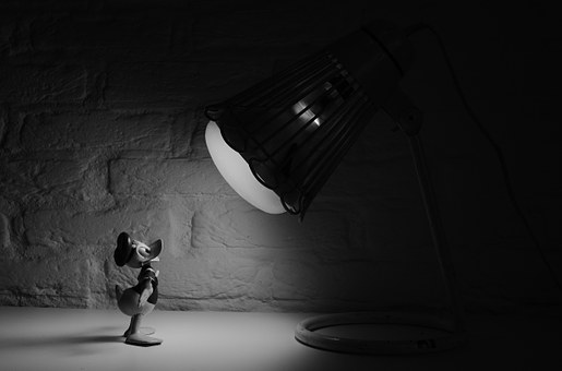 Fun Animated Facts pt. 1
